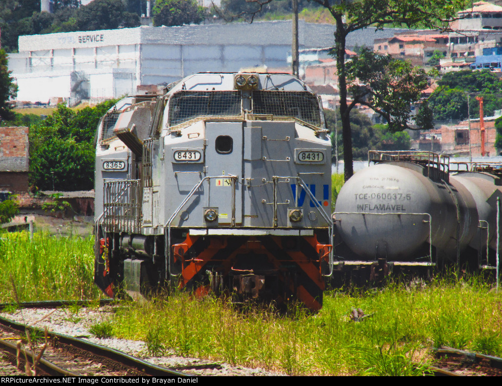 VLI 8431